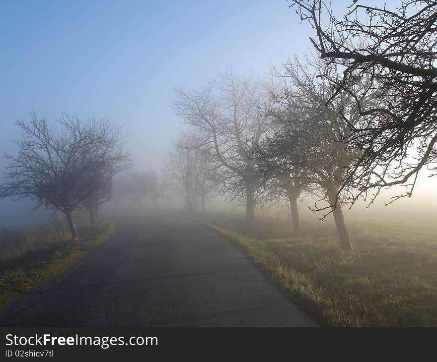 Foggy road