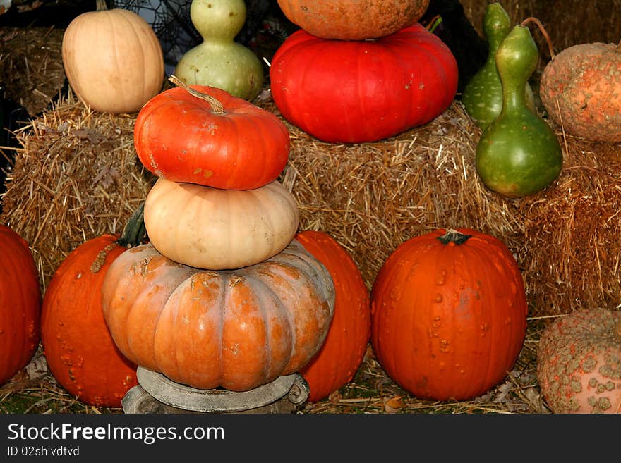 Fresh different type of pumpkins arranged on hay. Fresh different type of pumpkins arranged on hay