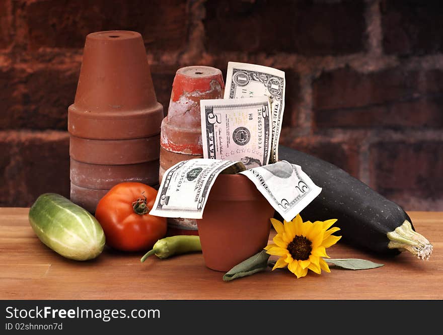 Pots with growing money on brick and wood table