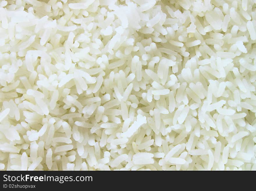 Cooked jasmine rice