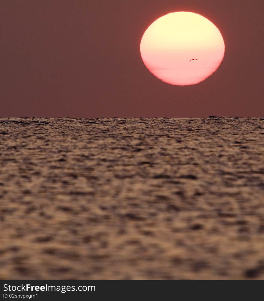 Sun rising over atlantic ocean in NJ. Sun rising over atlantic ocean in NJ