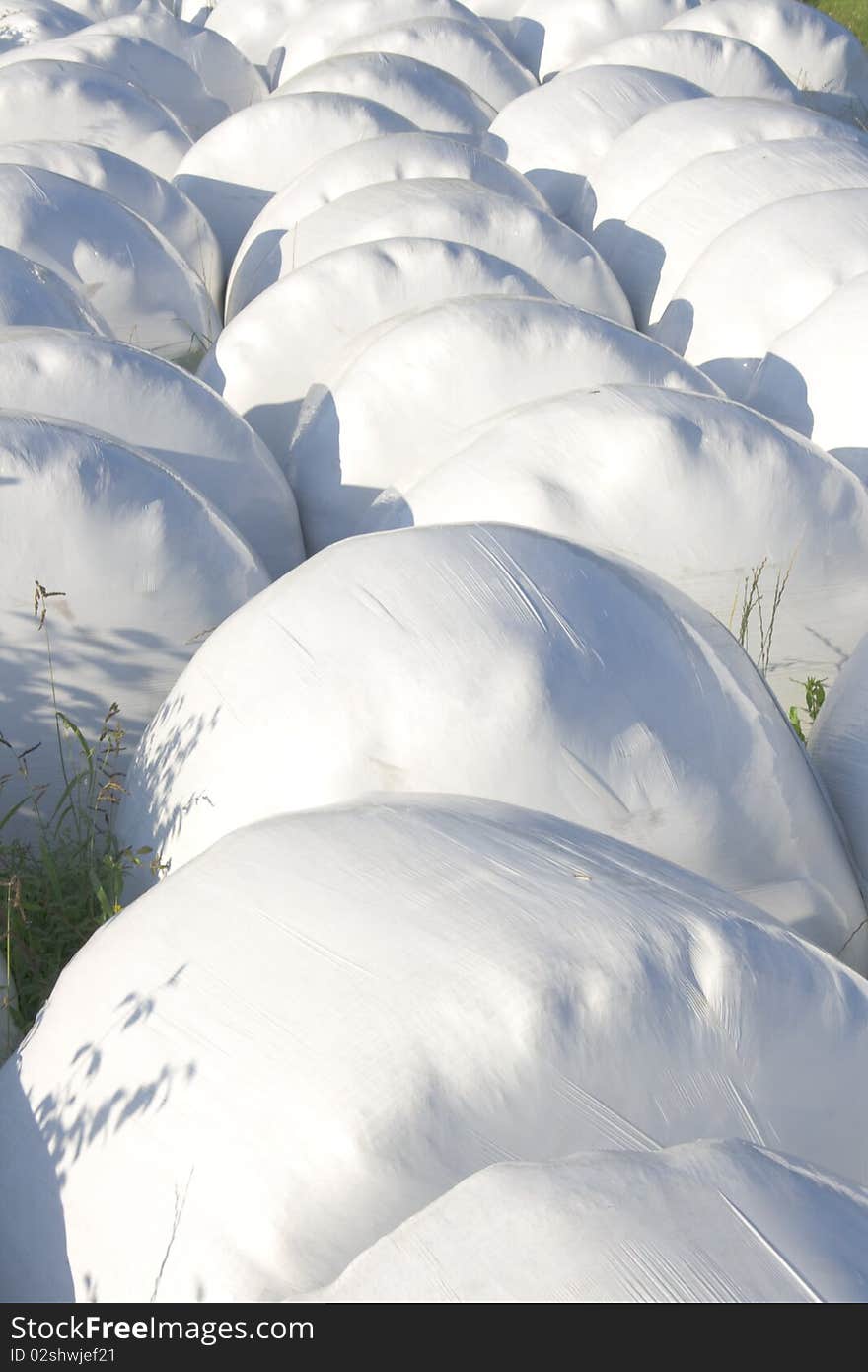 Hay balls in white plastic cover wrap bales stacked outdoor, for feeding animals in farms. Hay balls in white plastic cover wrap bales stacked outdoor, for feeding animals in farms