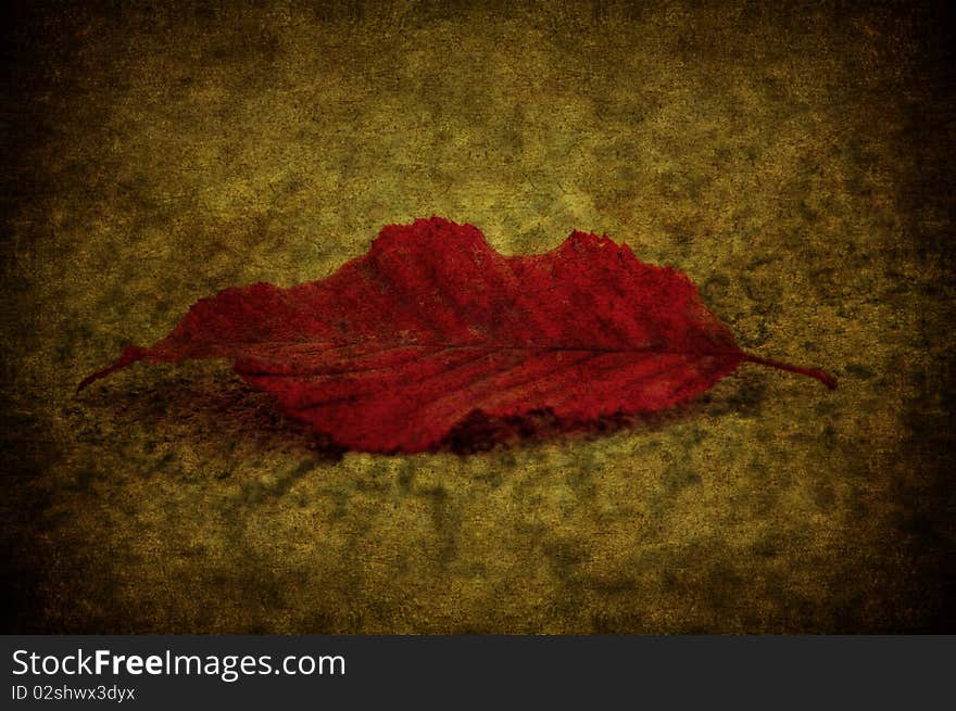 A texture with a red grunge leaf