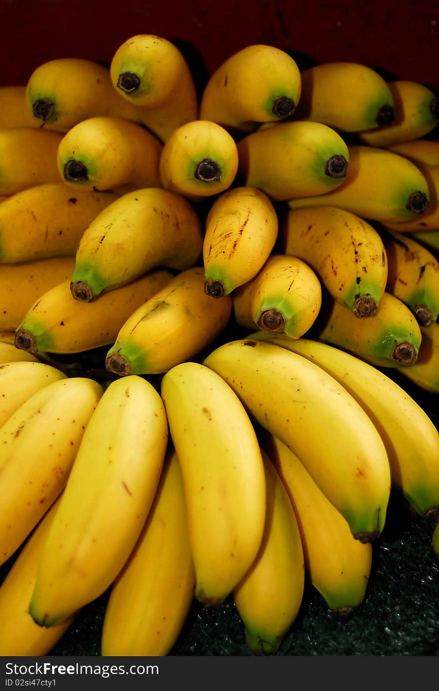 Mysore Bananas at farmers Market stand. Mysore Bananas at farmers Market stand