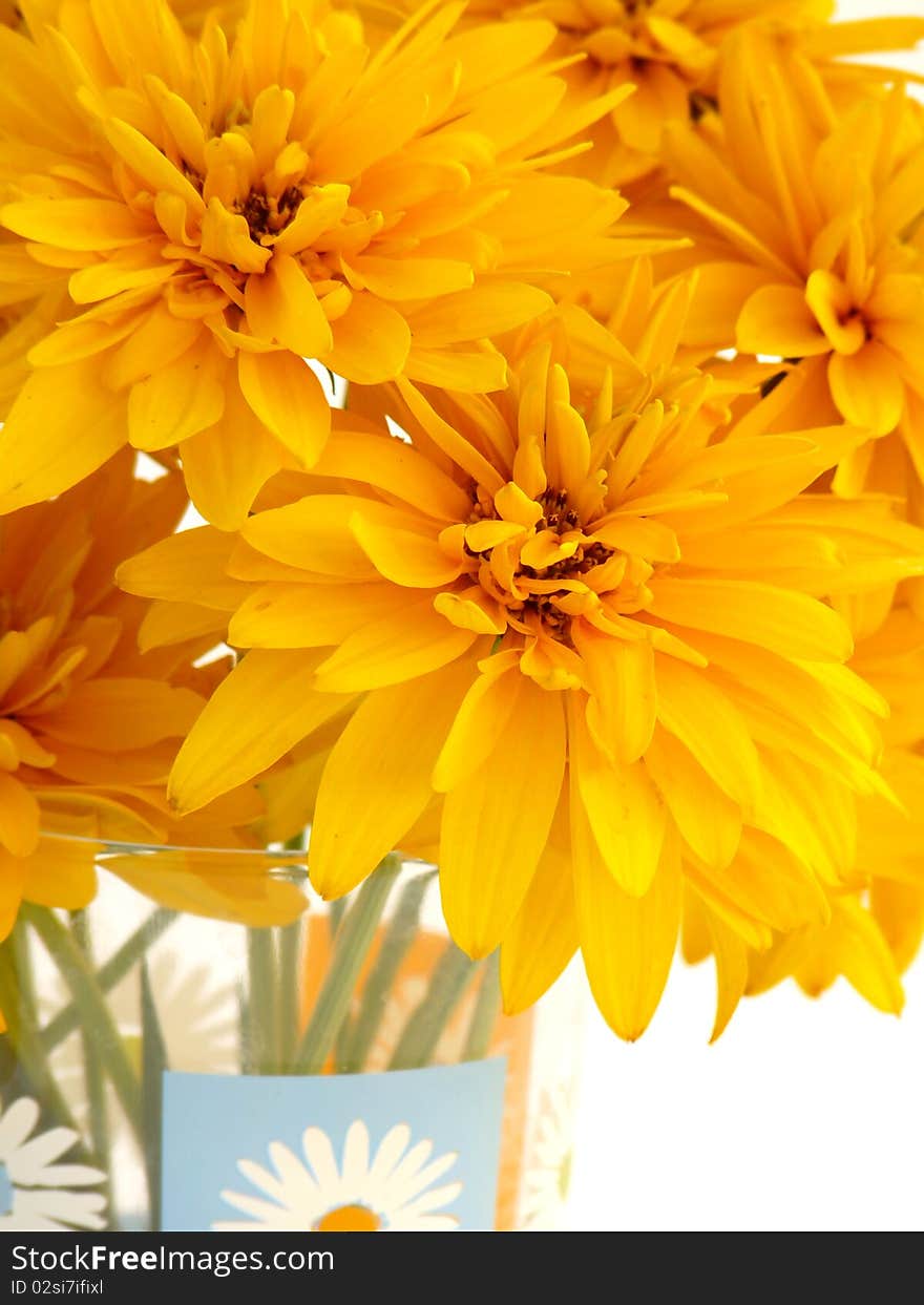 Bouquet of beautiful yellow flowers. Isolated image