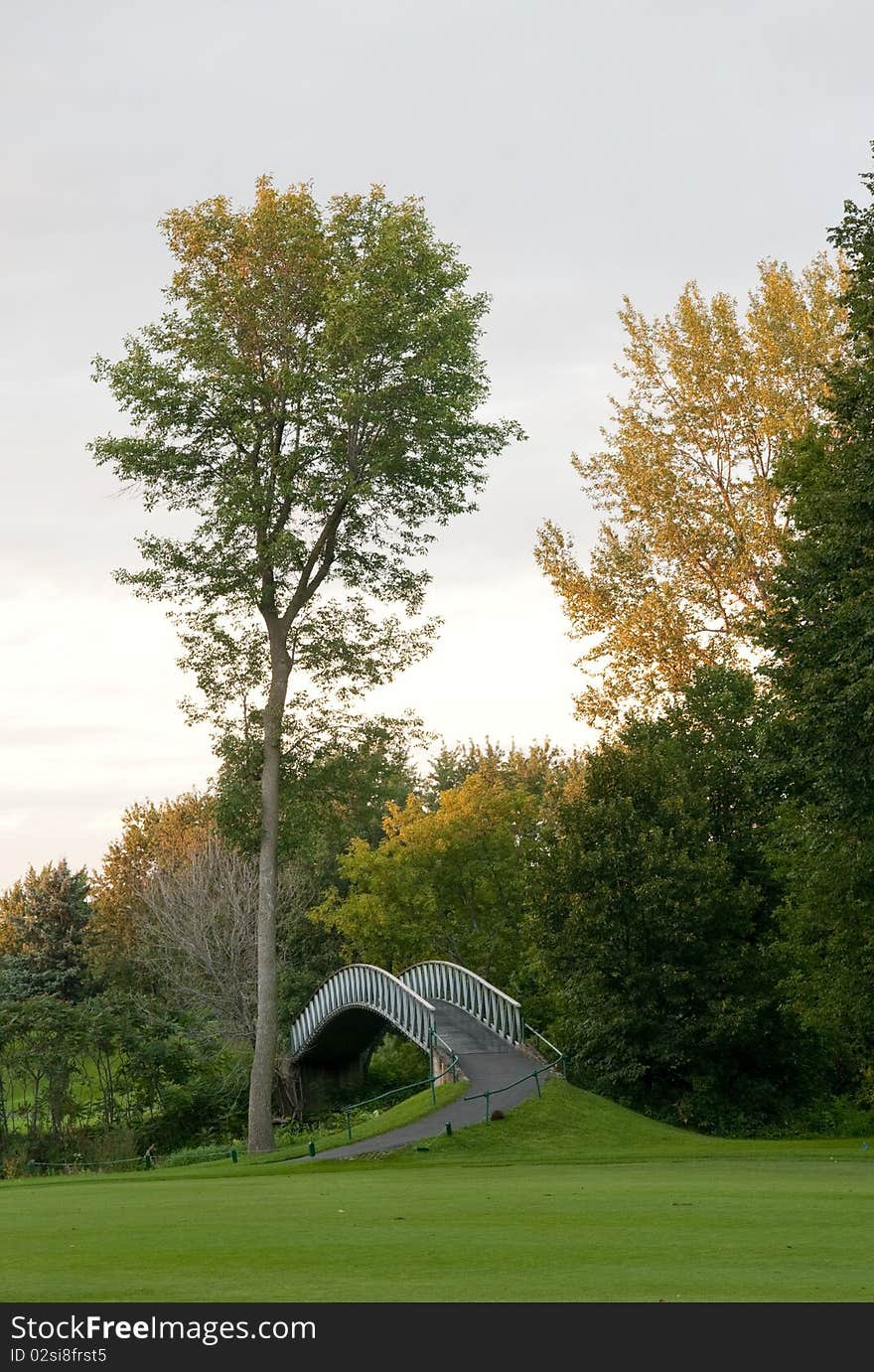 Bridge on the golf course