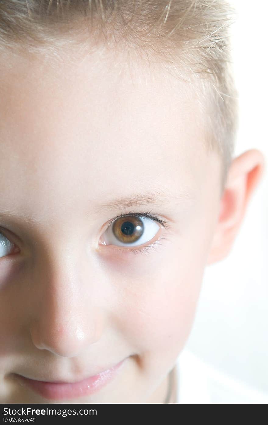 Portrait of the cute young boy. Portrait of the cute young boy