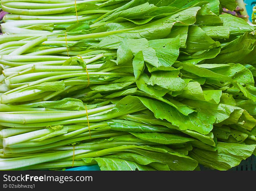 Green Canton Vegetables