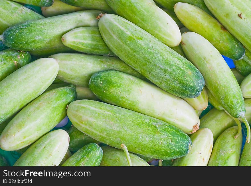 Cucumbers