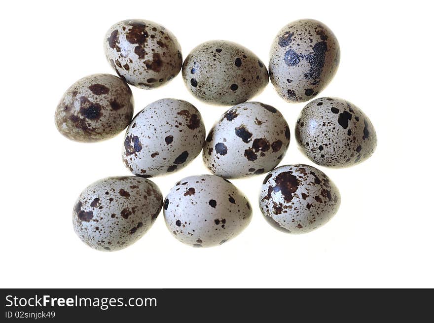 Quail eggs on a white background