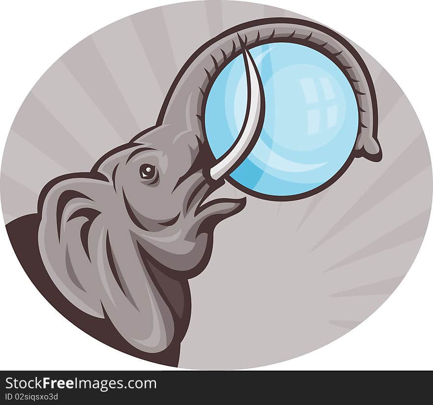 African elephant with sphere ball