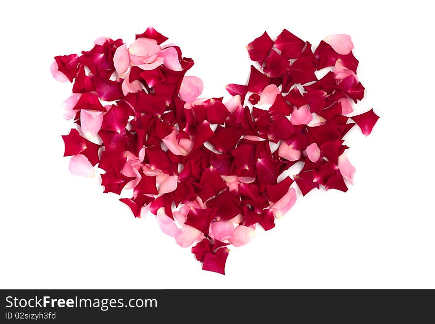 Heart made of roses on a white background