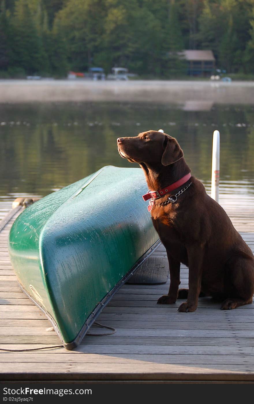 Dog sits on the dock by the canoe waiting to go for a boat ride. Dog sits on the dock by the canoe waiting to go for a boat ride.