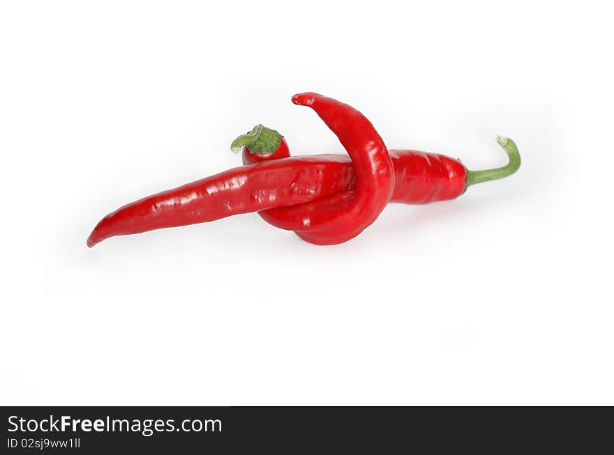 Chili Pepper On White