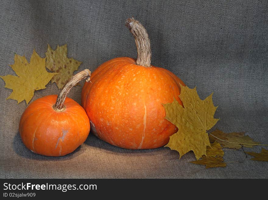 Pumpkins And Leaves