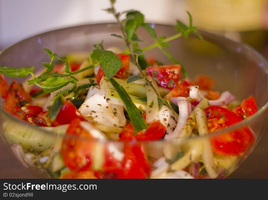 Salad of tomato, pepper, cucumber and purple onion, in olive oil, with menta and oregano sprig, shallow DOF. Salad of tomato, pepper, cucumber and purple onion, in olive oil, with menta and oregano sprig, shallow DOF