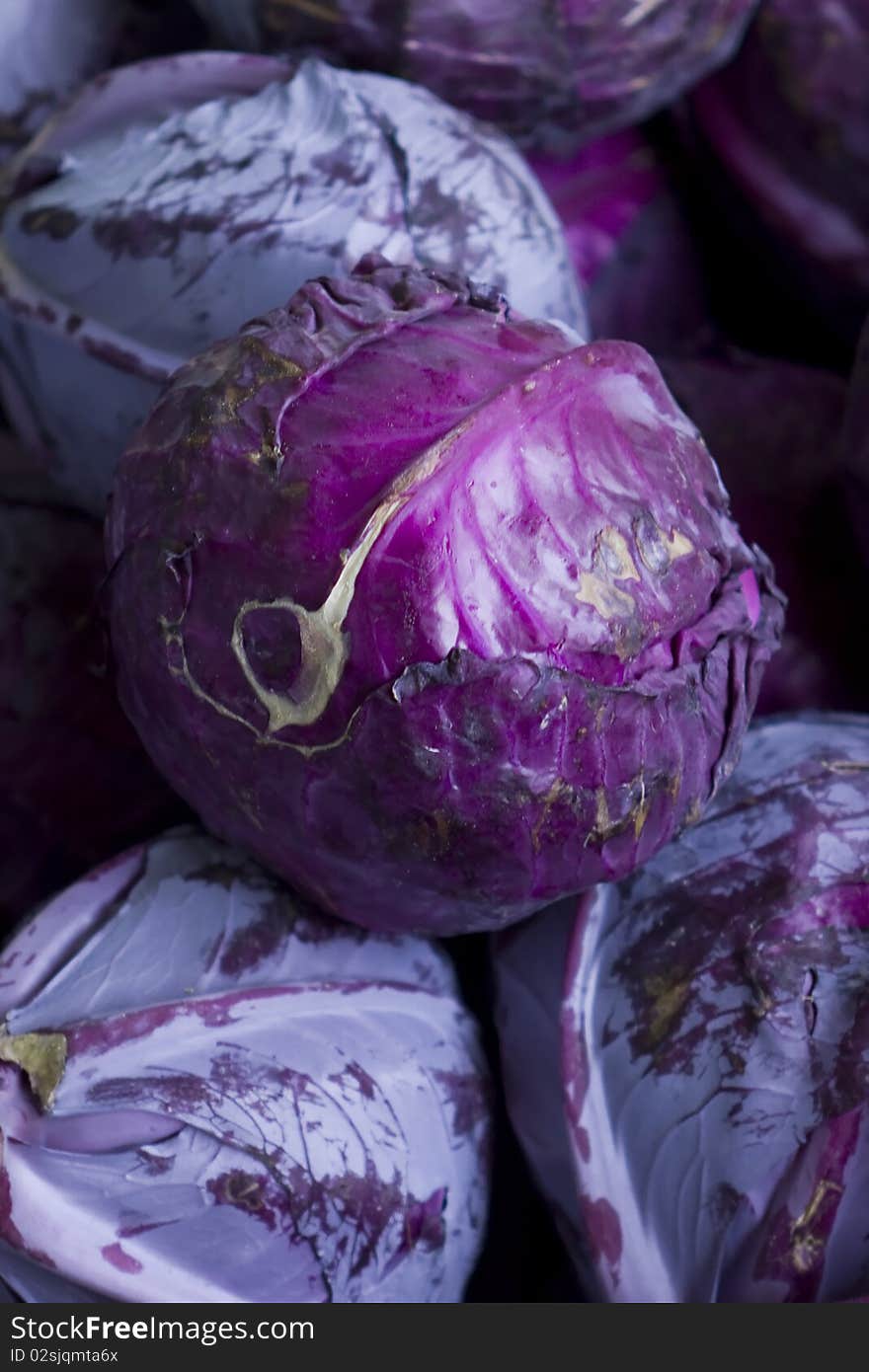 Lots of purple cabbages in a pile. Lots of purple cabbages in a pile