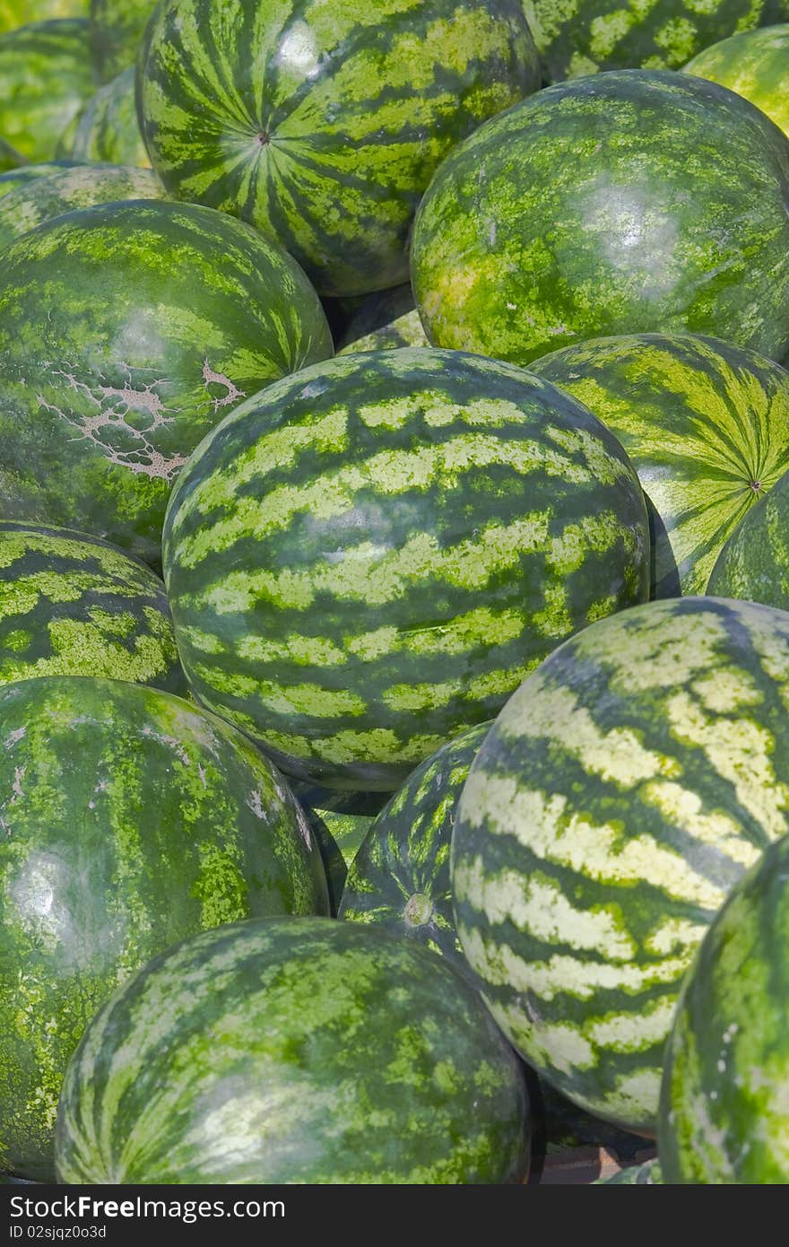 Lots of green, striped, round watermelons on the market