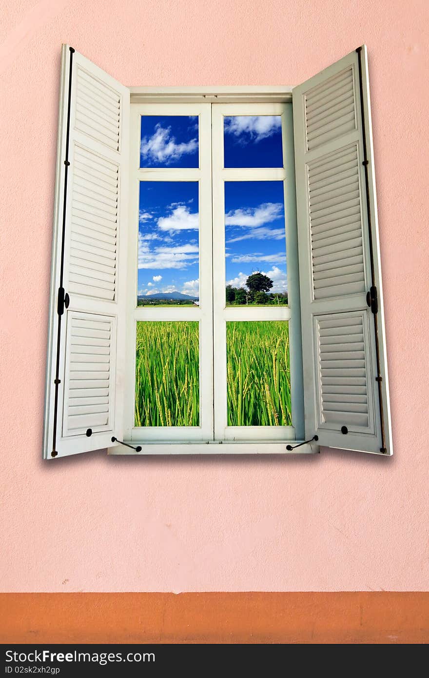 Rice Farm Behide A White Window