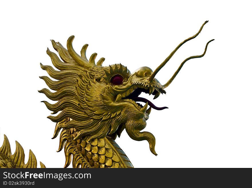 The golden dragon isolated on white background. The golden dragon isolated on white background