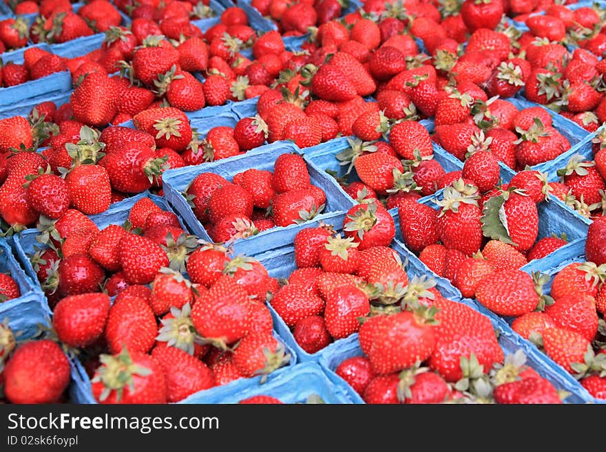 Baskets of Ripe Red Oregon Strawberries. Baskets of Ripe Red Oregon Strawberries