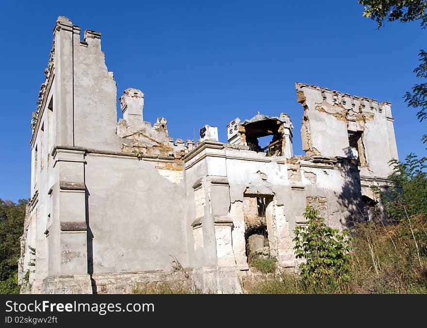 Plants in window of destroyed castle. Plants in window of destroyed castle