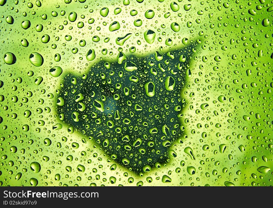 Many little water drops on the glass. Many little water drops on the glass