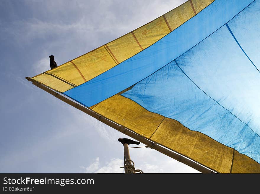 Particular of a blue tent with two birds.