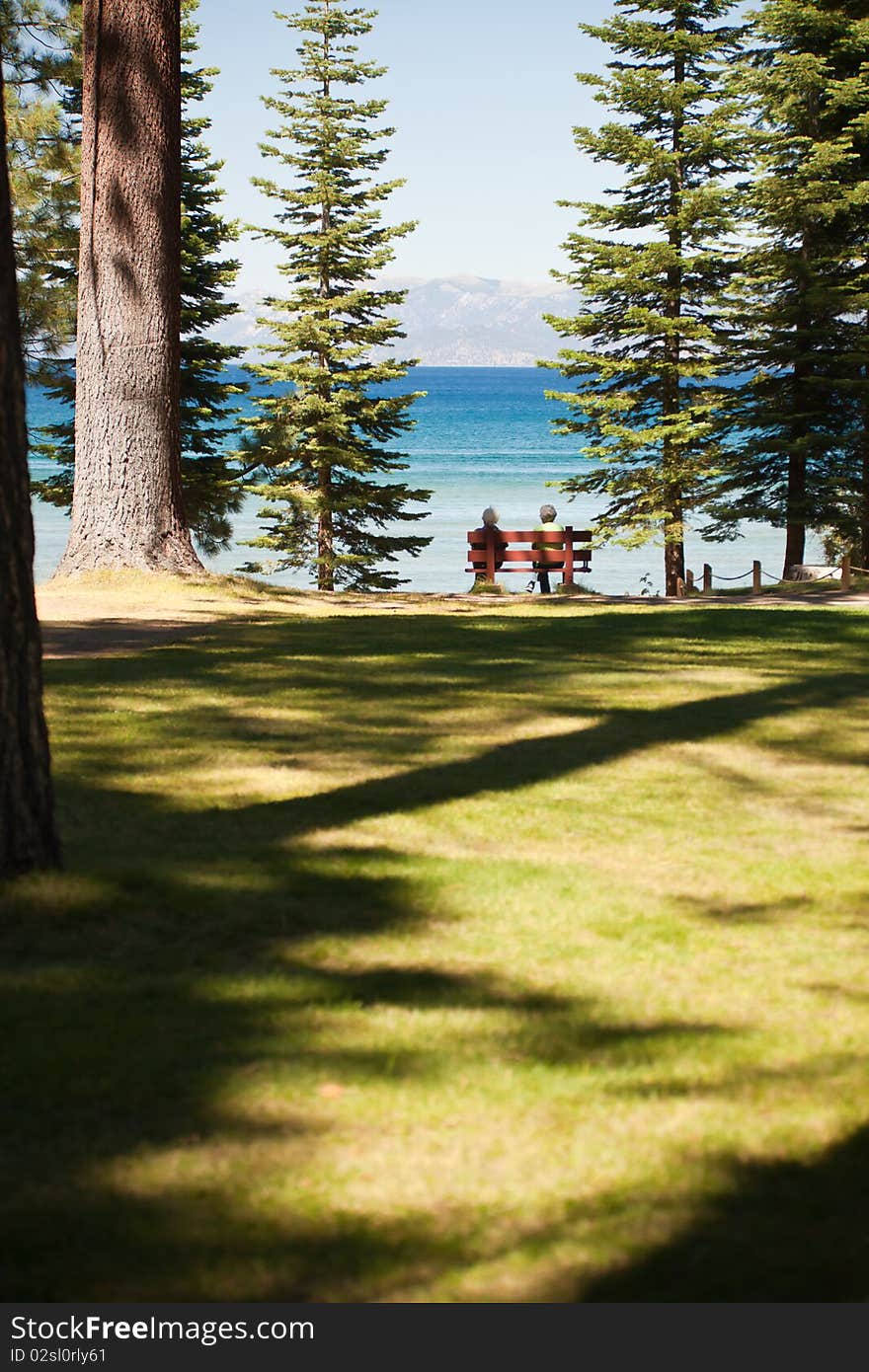 Senior Women Sitting and Enjoying Forest Lake View from Bench. Senior Women Sitting and Enjoying Forest Lake View from Bench.