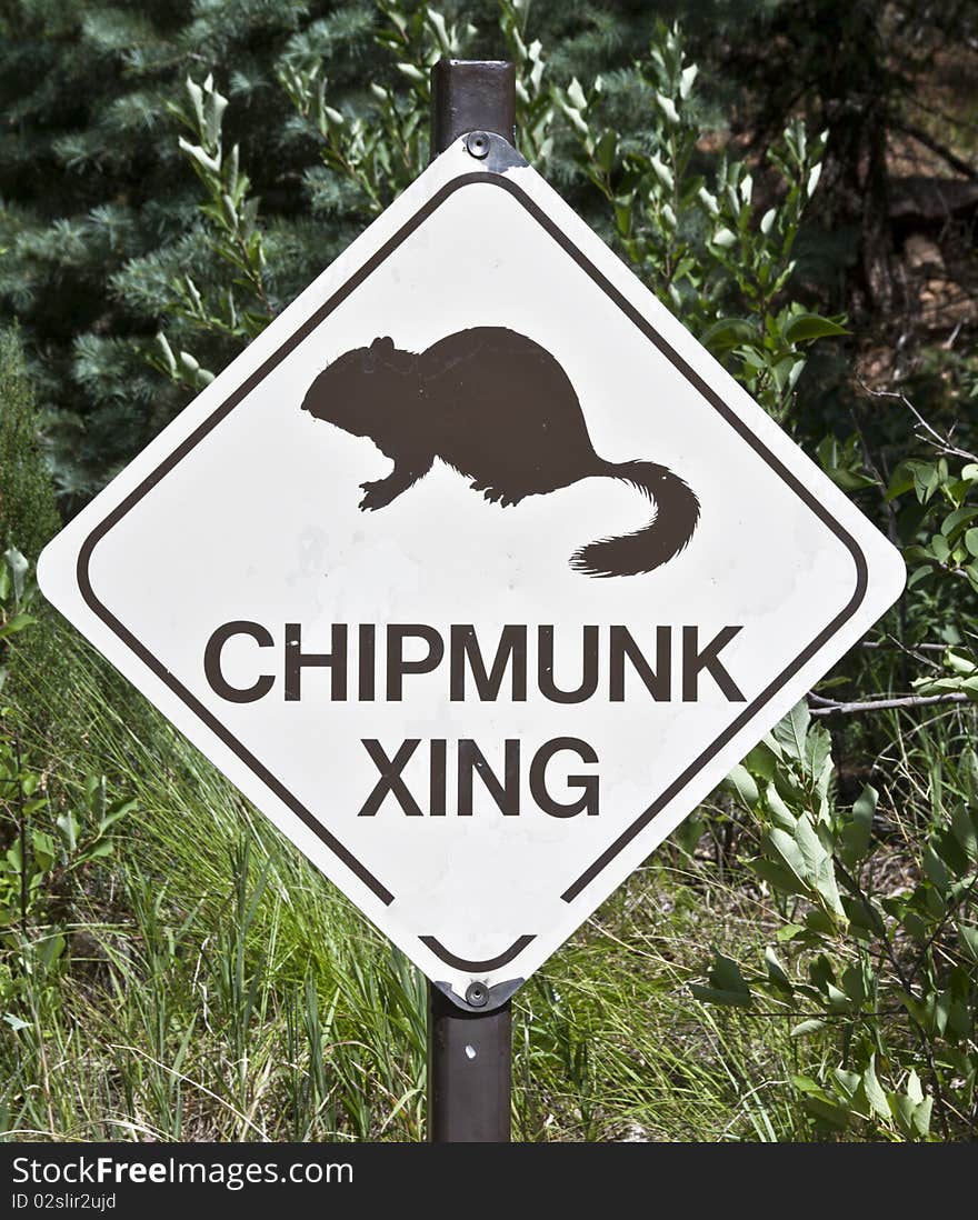 Chipmunk Crossing