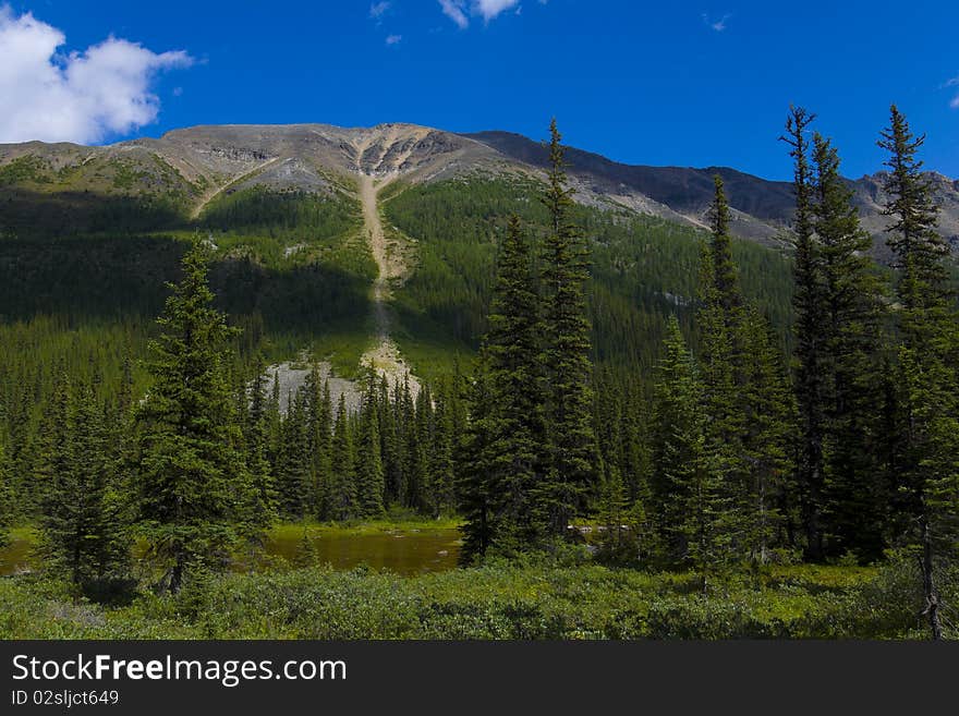 Consolation Lakes Mountain In Banff