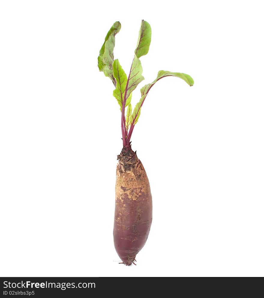 Beet on a white background