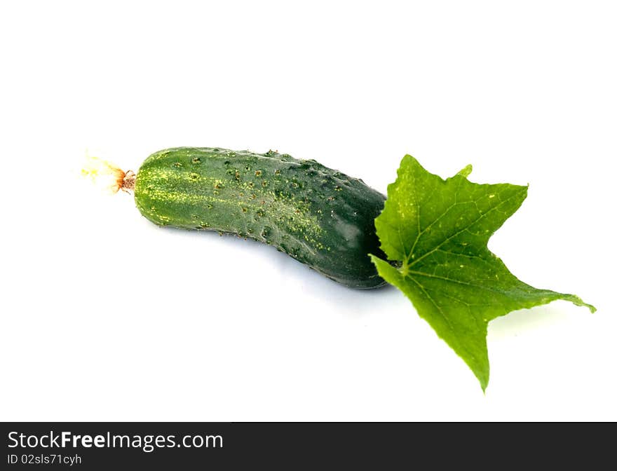 Cucumbers on a white background