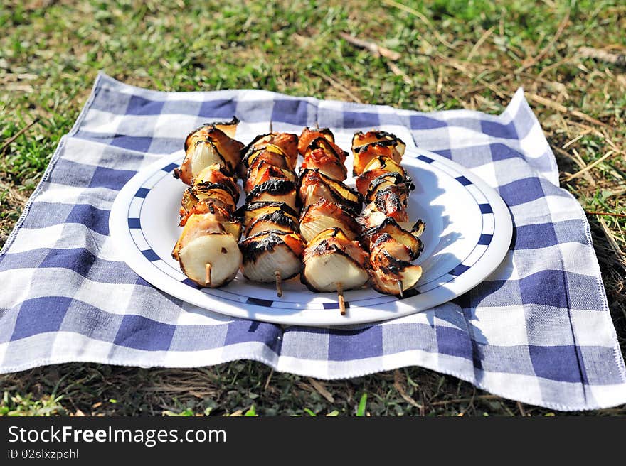 Barbecue on a plate at picnic