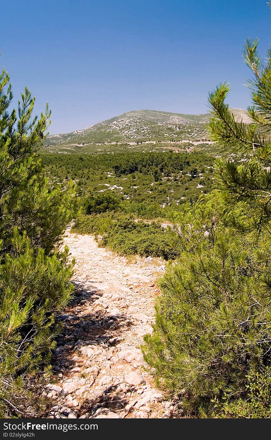 View of the Forêt de la Gardiole to the Mont Carpiagne