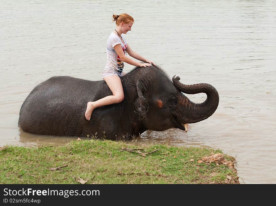 Ride an elephant, teenager have adventure at Surin in Thailand