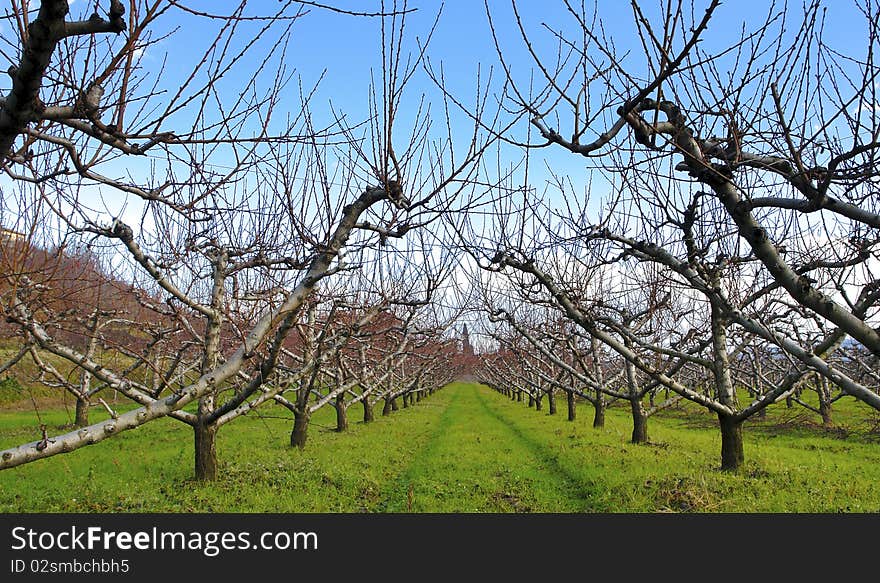 Winter landscape in tuscany italy- toscana