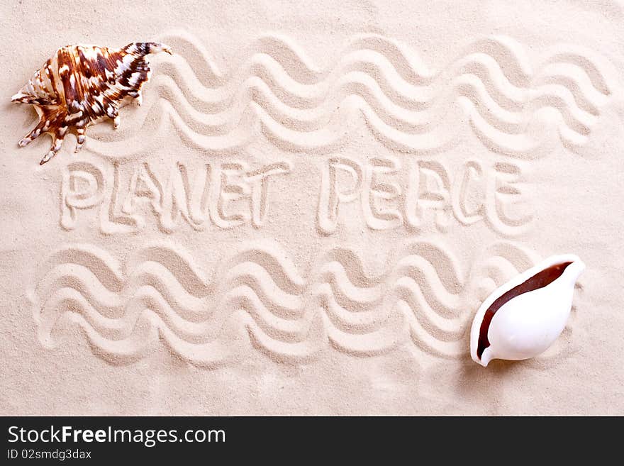 Seashells in sand with text as a background