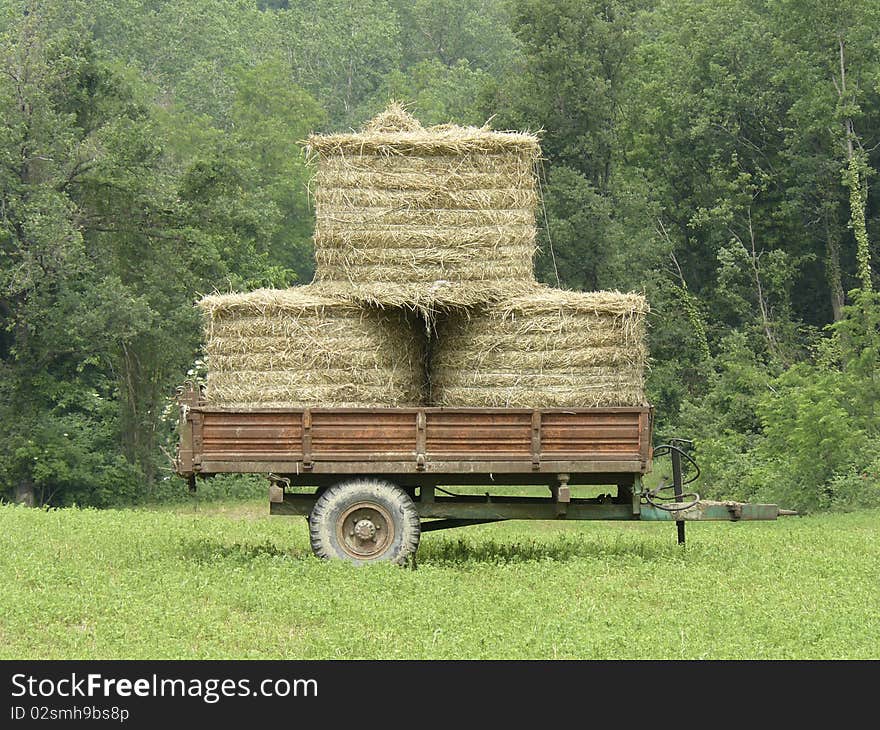 Old wagon with hay on green prairie. Old wagon with hay on green prairie