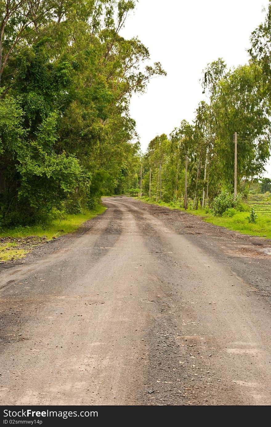 Rural road with tree in thailand