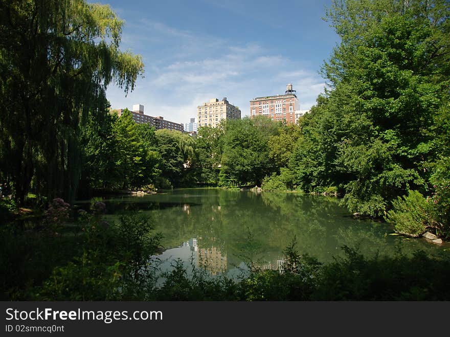 A lake and buildings in New York City. A lake and buildings in New York City