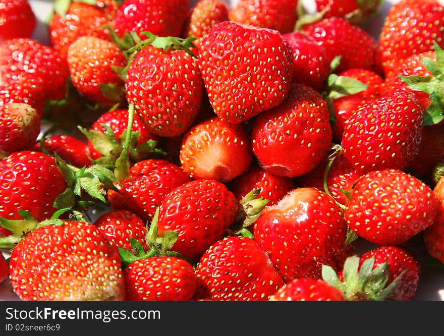 A lot of ripe red strawberries