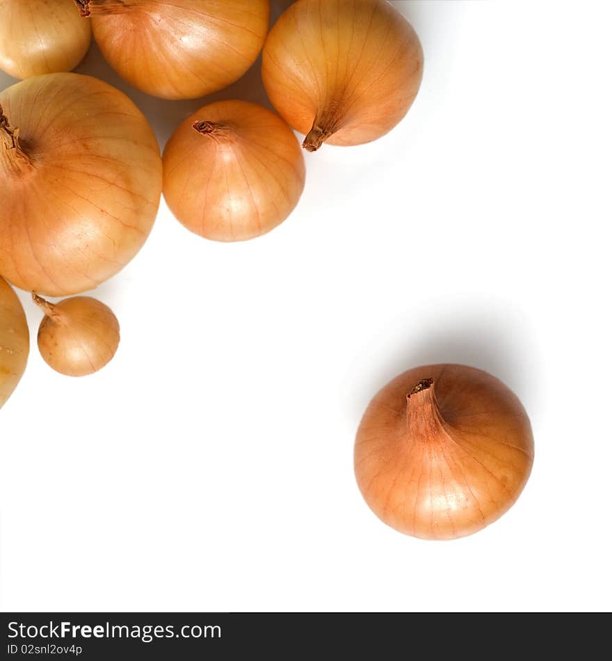 Onion isolated on the white