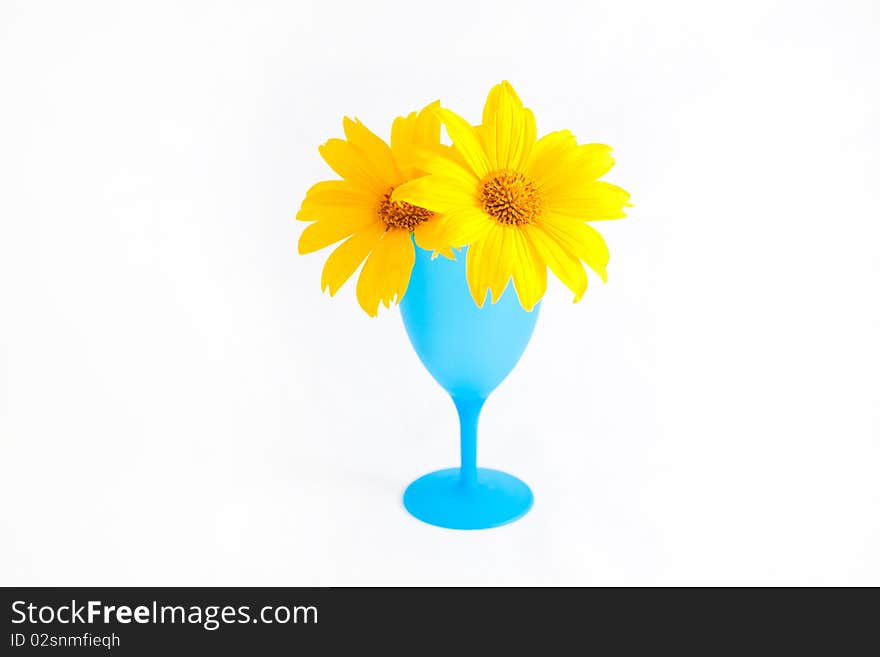 Emperor sunflower cup