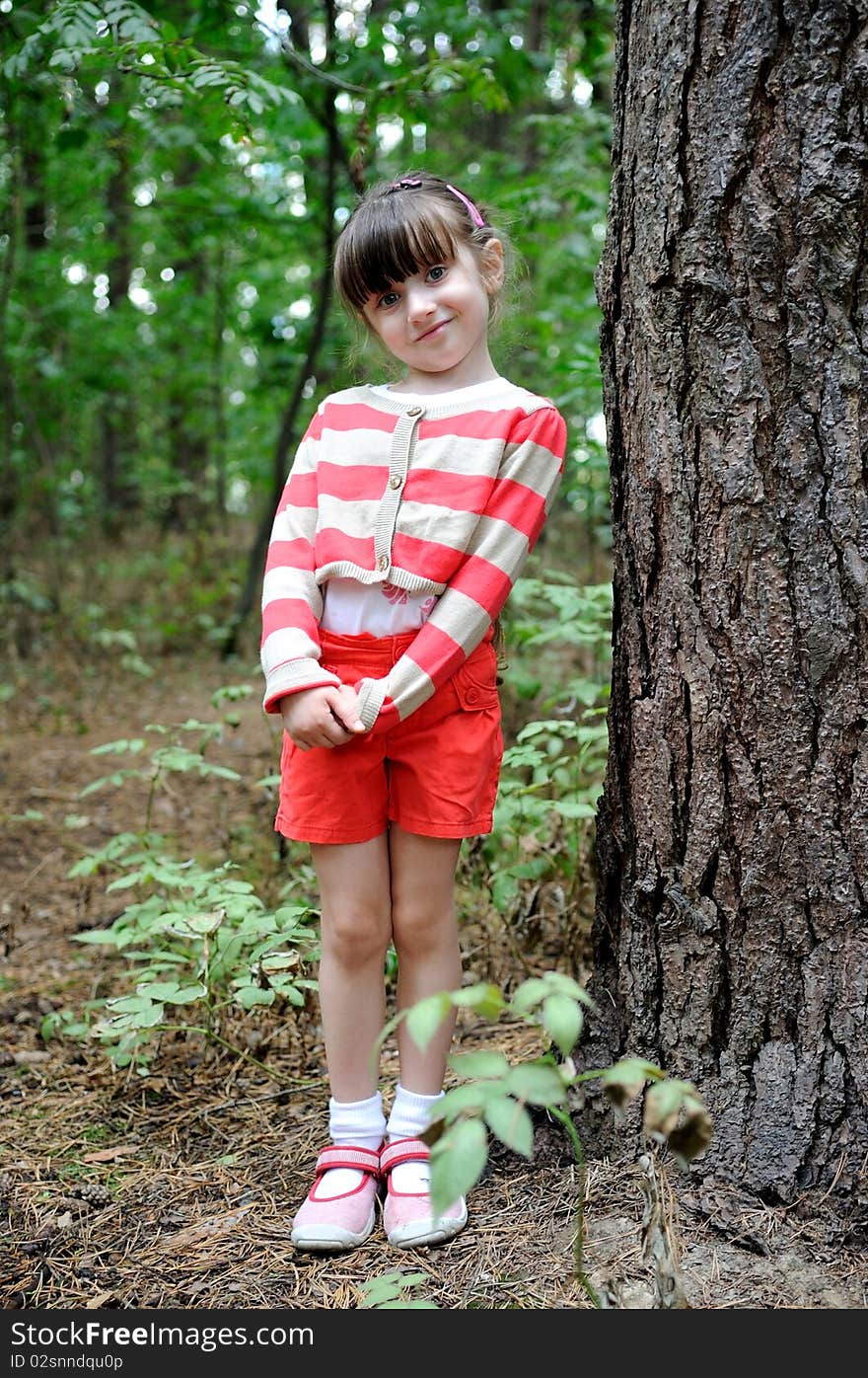 Nice Toddler Girl In Cute Shorts And Stripe Sweate