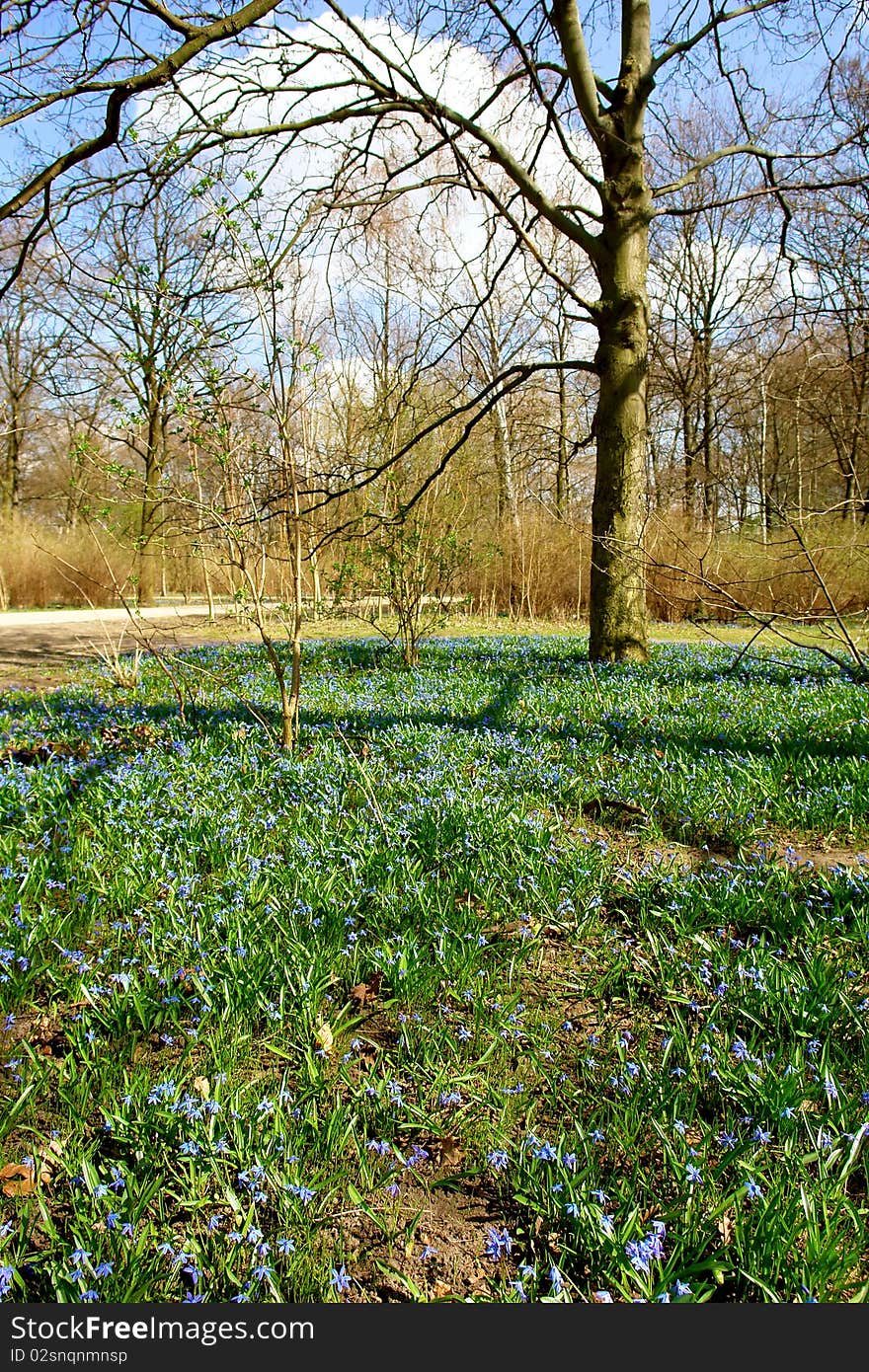 Tiergarten Center City Park