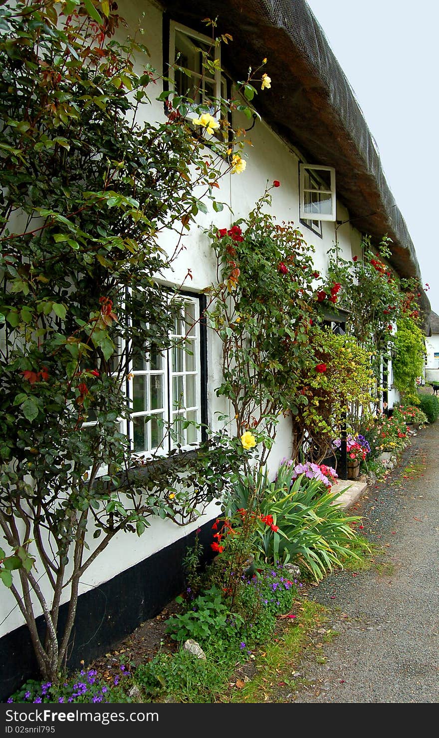 Row of old English thatched cottages from a sleepy village close to Stonehenge