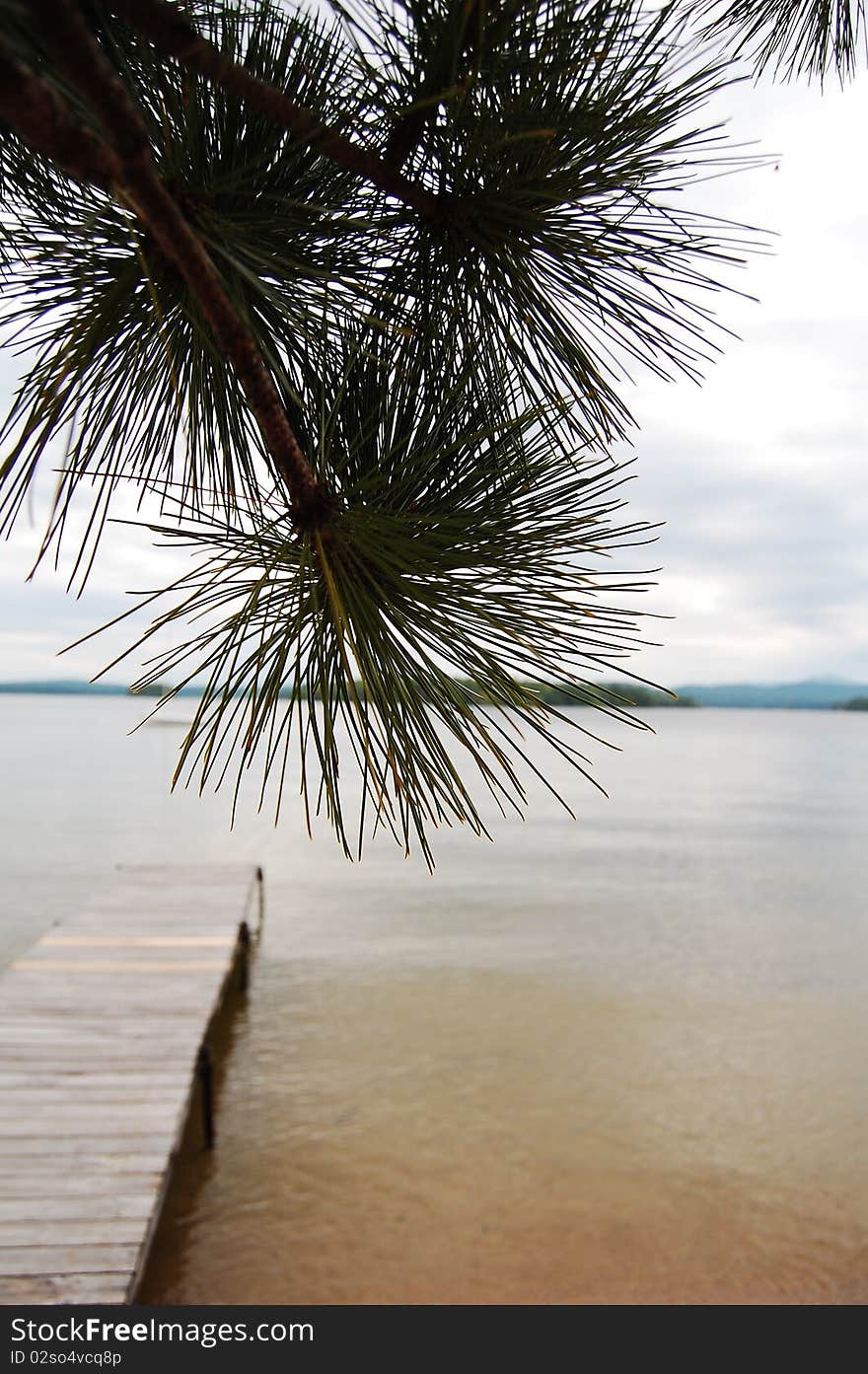 Pine tree silhouette and dock on lake in NH. Pine tree silhouette and dock on lake in NH