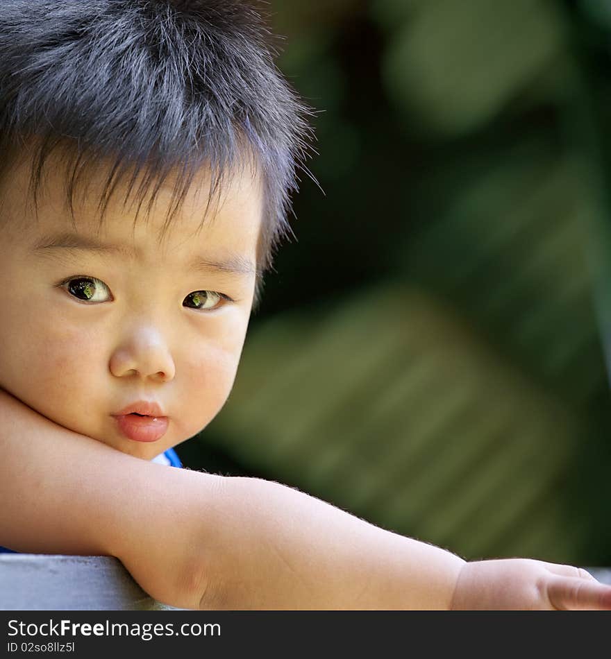 Baby is playing in a garden. Baby is playing in a garden.