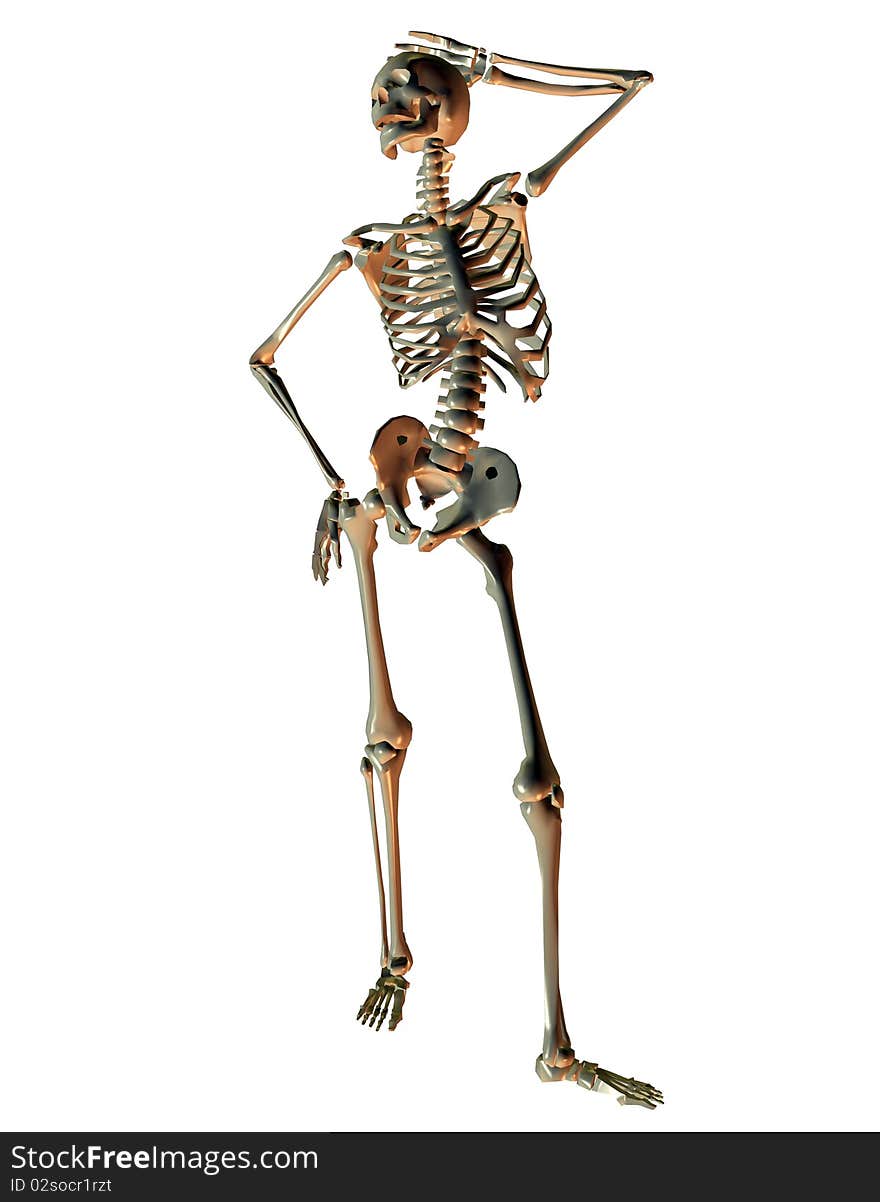 3d rendering a skeleton in model pose as illustration